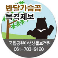 반달곰 목격제보 국립공원연구원 061-783-9120